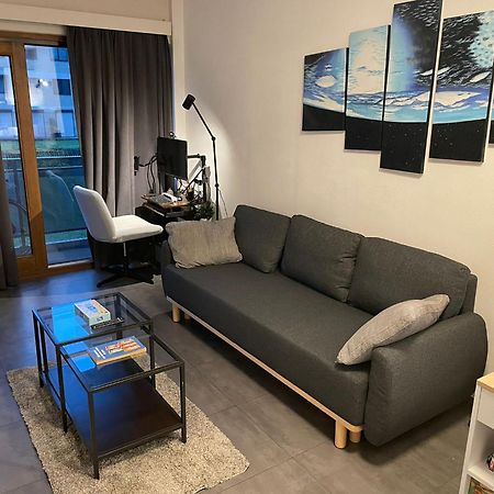 One Bedroom Fully Equipped Apartment With Terrace ブリュッセル エクステリア 写真
