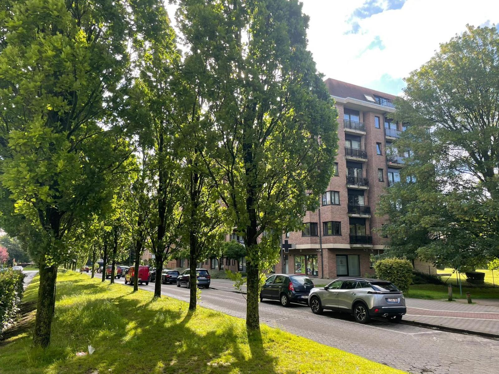 One Bedroom Fully Equipped Apartment With Terrace ブリュッセル エクステリア 写真